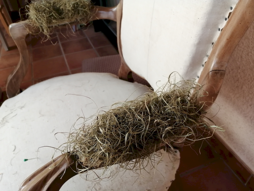 recouvrir accotoirs fauteuil voltaire